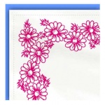 cadre-fleurs-4cba98.jpg